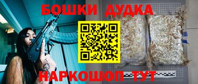 молекула духа Будённовск