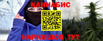 молекула духа Будённовск