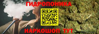 сатива Бузулук