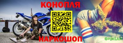 молекула духа Будённовск